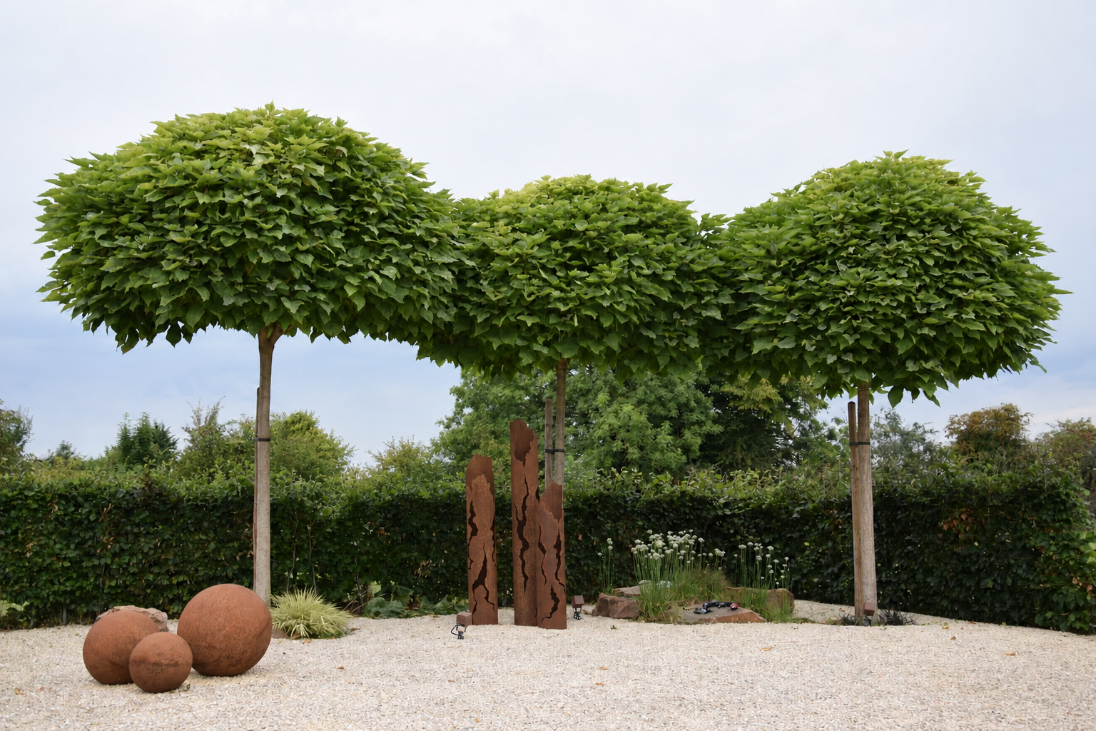 Alignement d’arbres taillés structurant un jardin contemporain